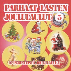 Eri Esittäjiä: Joulupuu on rakennettu
