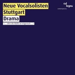 Neue Vocalsolisten Stuttgart: Falsche Lieder (2011): Mondbeschreibung