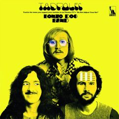 The Bonzo Dog Band: Hunting Tigers out in India (2007 Remaster)