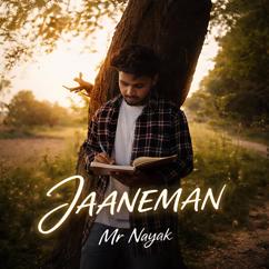 Mr Nayak: JAANEMAN