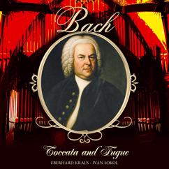Ivan Sokol: Toccata and Fugue in D Minor, BWV 565