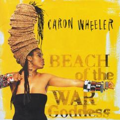 Caron Wheeler: Land Of Life