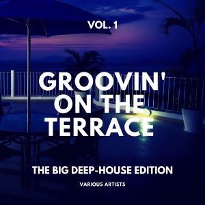 Various Artists: Groovin' on the Terrace (The Big Deep-House Edition), Vol. 1