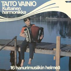Taito Vainio: Viipurin Vihtori