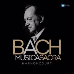 Concentus Musicus Wien, Nikolaus Harnoncourt: Bach, JS: Ich hatte viel Bekümmernis, BWV 21: No. 1, Sinfonia