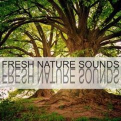 Nature Sounds: Birds All Around You