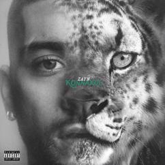 ZAYN: Side Effects