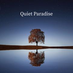 Axiom: Quiet Paradise