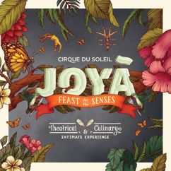 Cirque du Soleil: Nueva Era