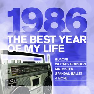 Various Artists: The Best Year Of My Life: 1986