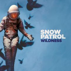 Snow Patrol: Wild Horses