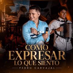 Pedro Carvajal: Como Expresar lo Que Siento