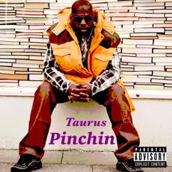 Taurus: Pinchin