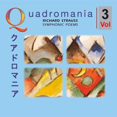 Pittsburgh Symphony Orchestra, Fritz Reiner: IX. Variation VI . Schnell - Begegnung Mit Dulzinea