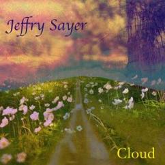 Jeffry Sayer: Vision