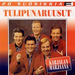 Tulipunaruusut, Raimo Piipponen: Ruhtinaan viulu