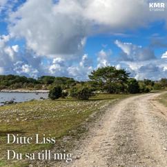 Ditte Liss: Du sa till mig