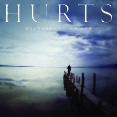 Hurts: Somebody to Die For (Franz Novotny Remix)