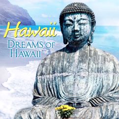 The Waikiki Hawaiians: Hawaii Hawaii