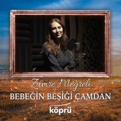 Zümre Meğreli: Bebeğin Beşiği Çamdan