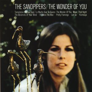 The Sandpipers: The Wonder Of You