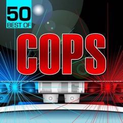 Movie Sounds Unlimited: Theme From Chips