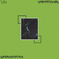 DreamSystem: Wakeeckhdd (Original Mix)