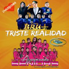 Agrupación los Seniors la Nueva Potencia & Bru + Para Ty: Triste Realidad