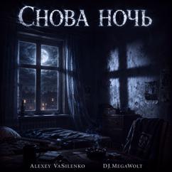 Alexey VASilenko & DJ.MegaWolt: Снова ночь