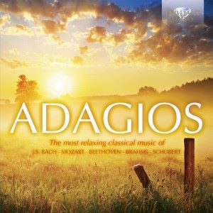 Various Artists: Adagios