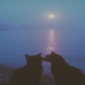 7hosen: Наш тихий свет
