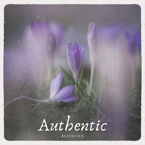 Beatboxx: Authentic