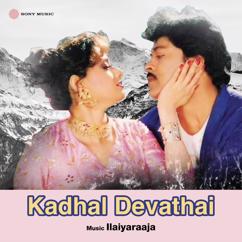 Ilaiyaraaja: Kadhal Devathai (Original Motion Picture Soundtrack)