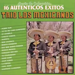 Trio Los Mexicanos: Cuál Juan...