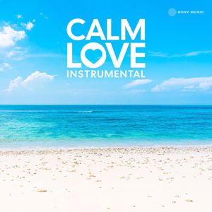 Anirudh Ravichander: Calm Love Instrumental