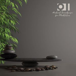 Various Artists: Qi: Ambient Soundscape for Meditation