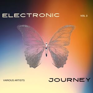 Various Artists: Electronic Journey, Vol. 3