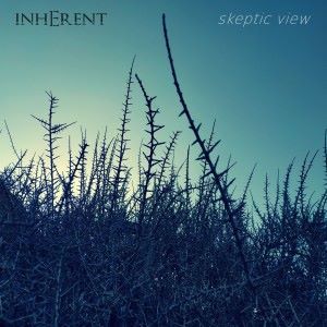 Inherent: Skeptic View