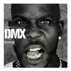 DMX: Blackout