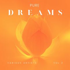 Various Artists: Pure Dreams, Vol. 2