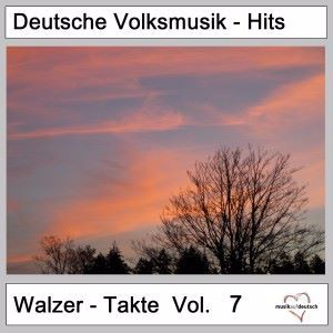 Various Artists: Deutsche Volksmusik-Hits: Walzer-Takte, Vol. 7