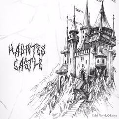 Cold Novel & ✧ktoya: Haunted Castle