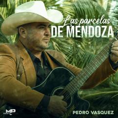 Pedro Vasquez El Chispa, Pedro Vasquez: Las Parcelas De Mendoza