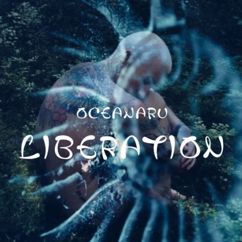 OCEANARU: Ocean