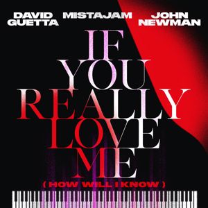 David Guetta, MistaJam, John Newman: If You Really Love Me (How Will I Know)