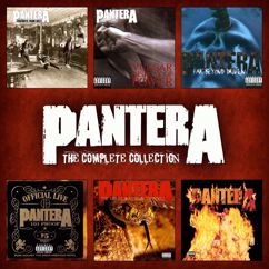 Pantera: Revolution Is My Name