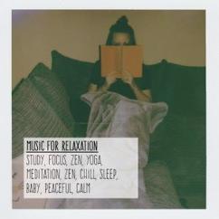 Deep Sleep Club: Relieve Stress (Original Mix)