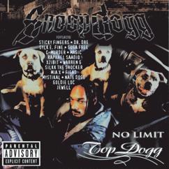 Snoop Dogg: Down 4 My N's