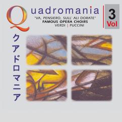 Various Artists: Giuseppe Verdi: Va, Pensiero, Sull' Ali Dorate - Famous Opera Choirs Vol. 3