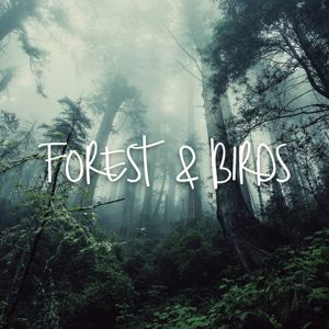 Nature Chillout: Forest & Birds